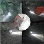 Mini LED Headlamp with Motion Sensor