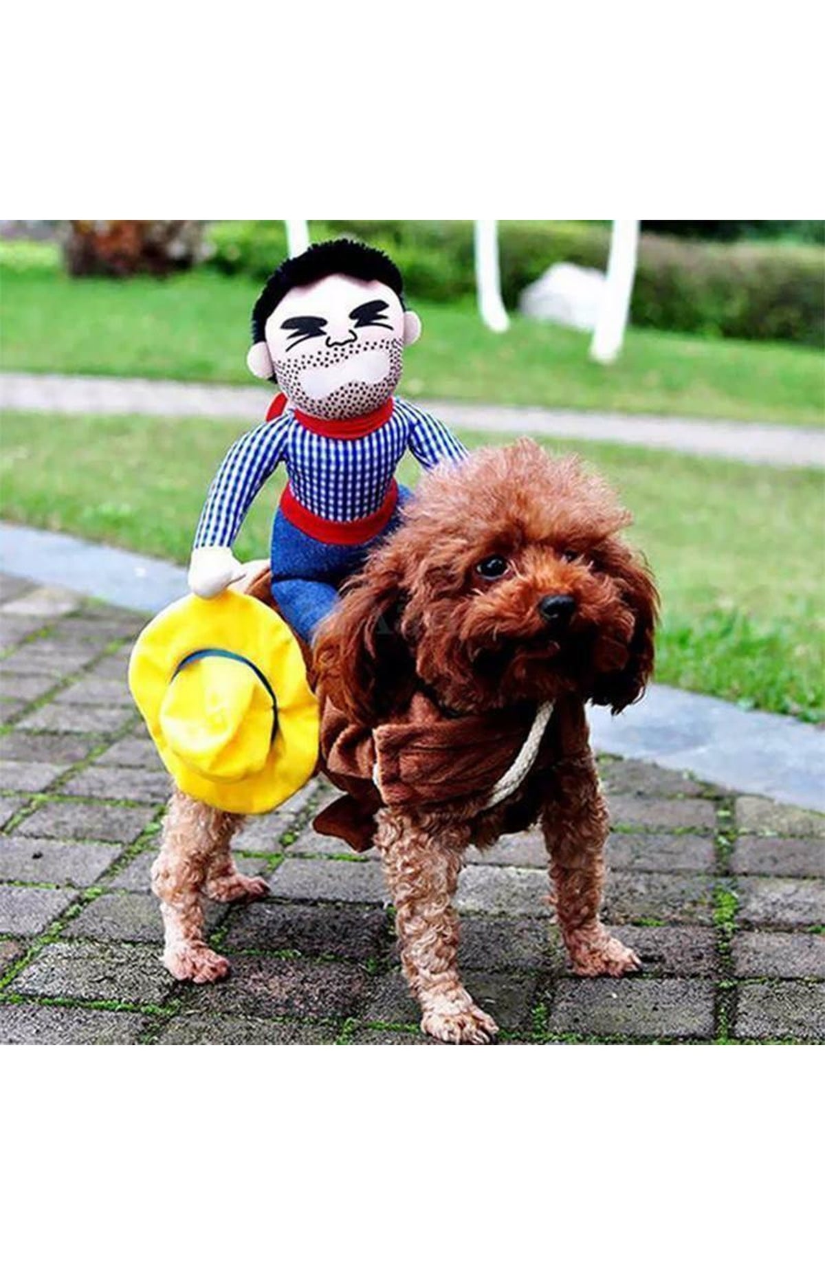 Funny Pet Costumes