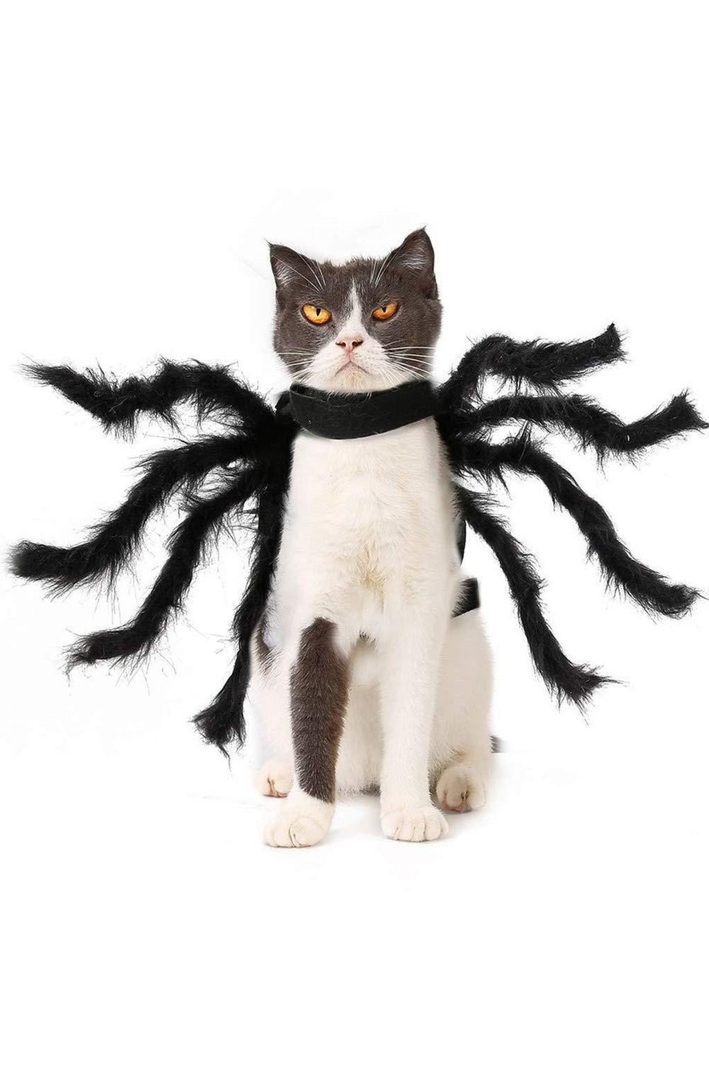 Spider Costume for Pets