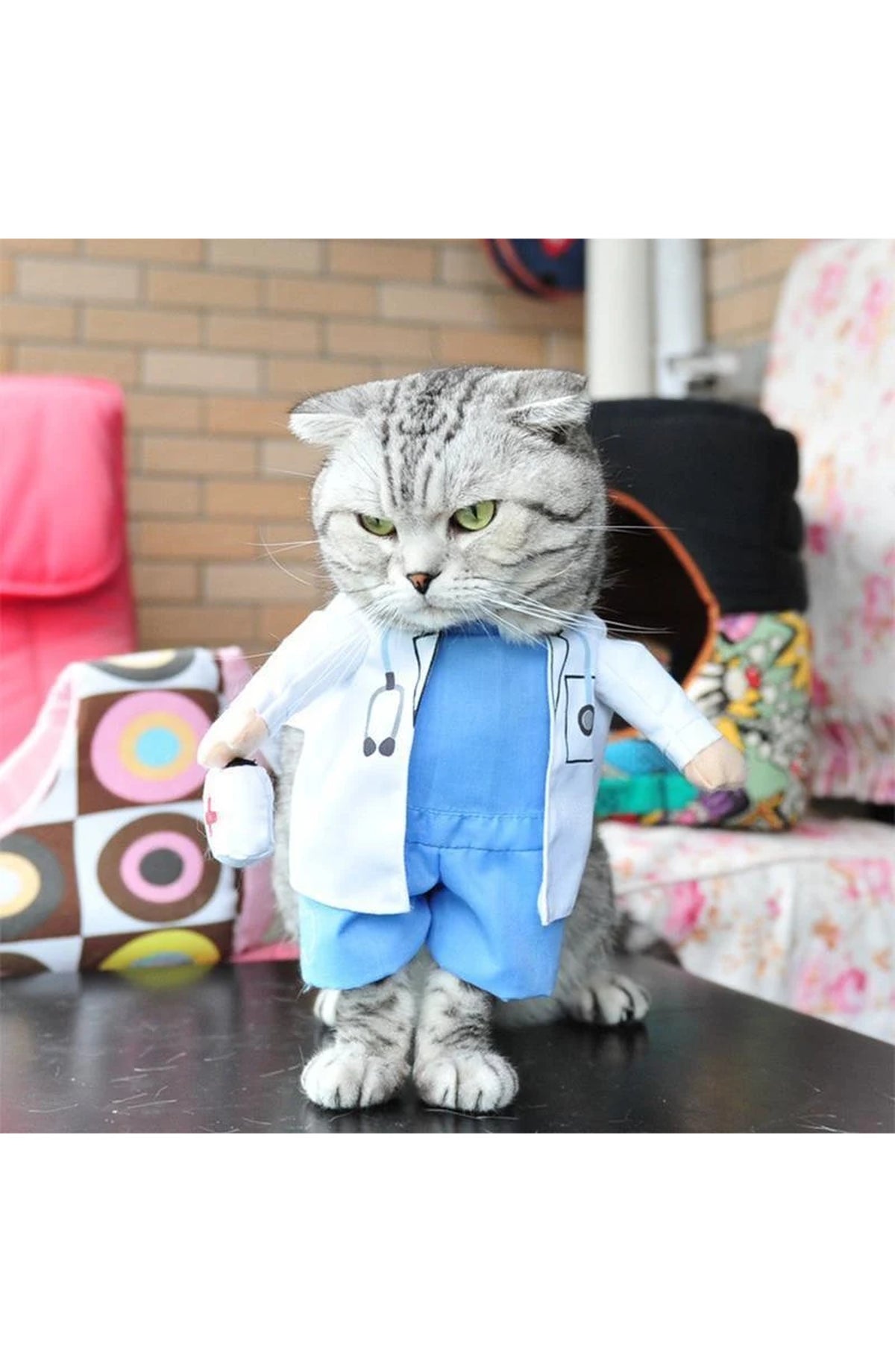Funny Pet Costumes