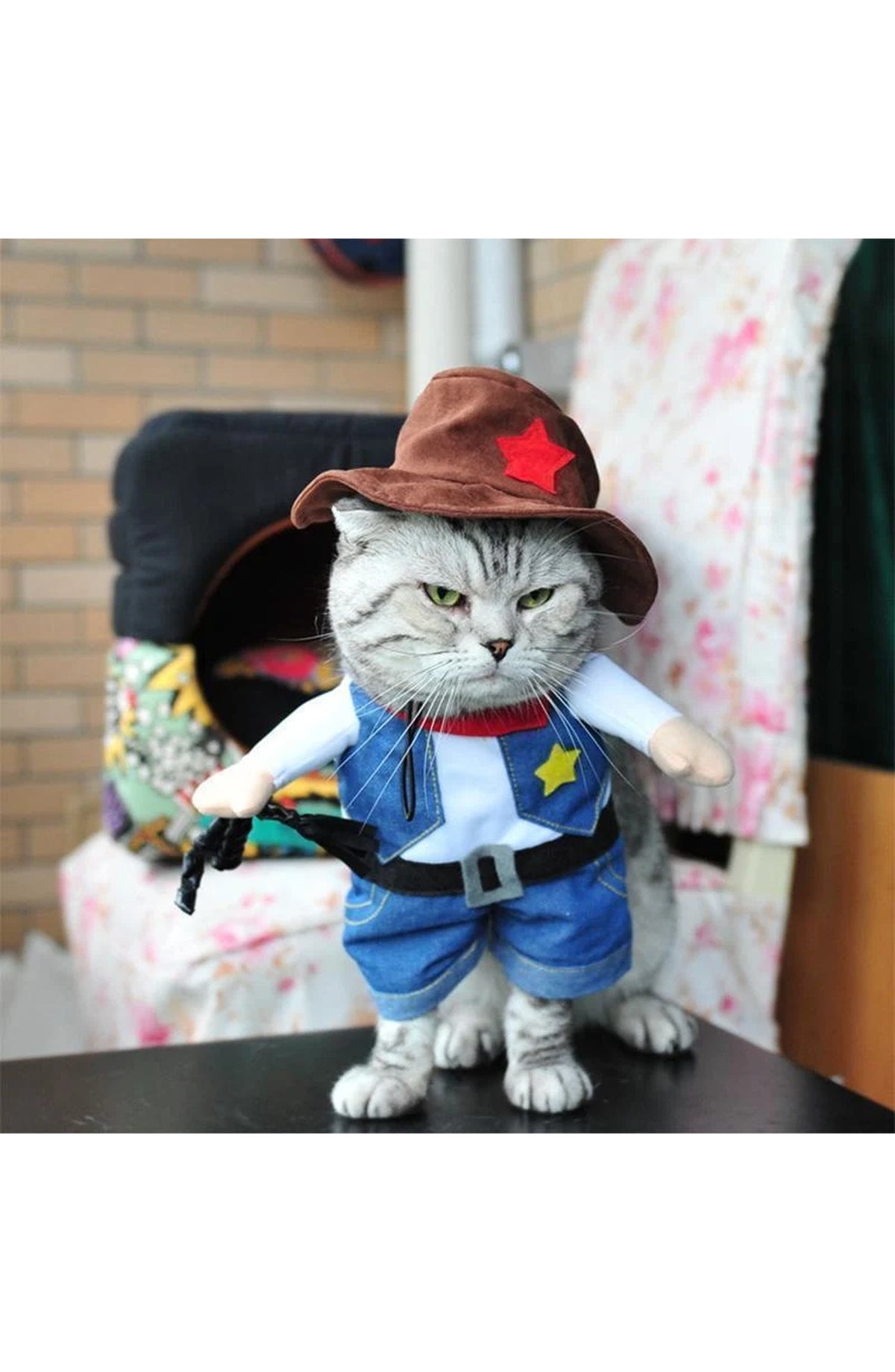 Funny Pet Costumes